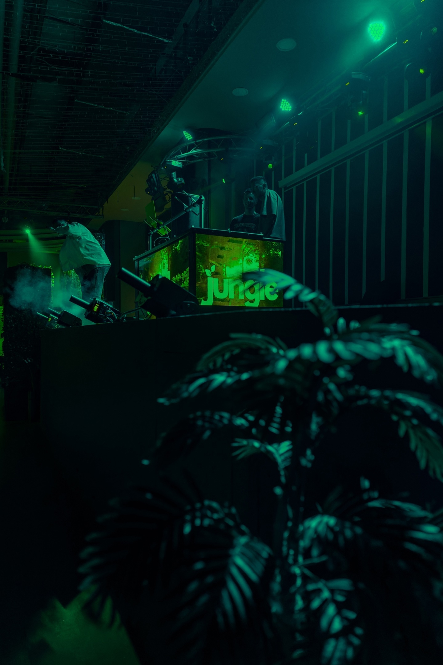 https://back.b.devtwin.multikey.studio/media/place/jungle-Wycpm7bFfr0.jpg